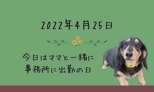 勇武の独り言（2022年4月25日）