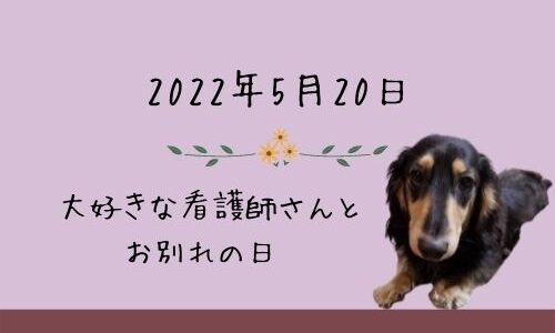 勇武の独り言（2022年5月20日）