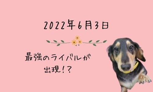 勇武の独り言（2022年6月6日）