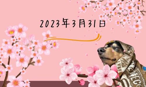 勇武の独り言（2023年3月31日）