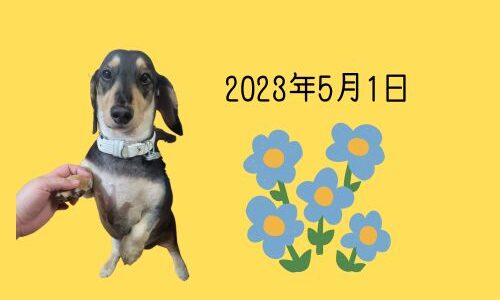 勇武の独り言（2023年5月10日）